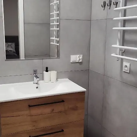 Apartment Platinum 2 Rybnik (Silesia)