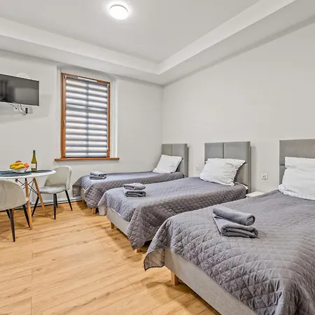 Platinum 2 Z Aneksem Kuchennym 3 Lozka * Rybnik (Silesia)