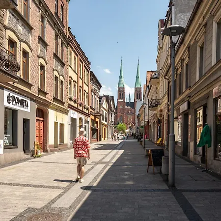 Apartmán Platinum 2 Z Aneksem Kuchennym 3 Lozka Rybnik (Silesia)