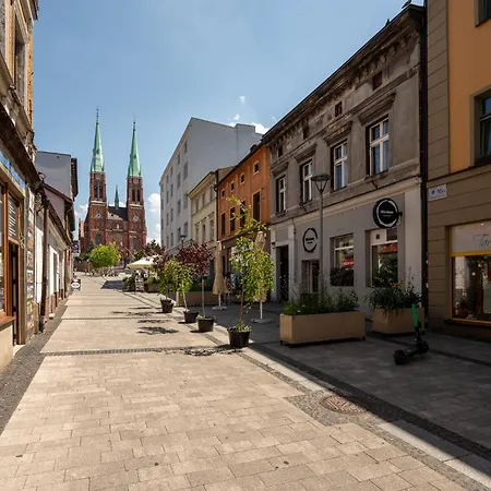 Apartment Platinum 2 Z Aneksem Kuchennym 3 Lozka Rybnik (Silesia)